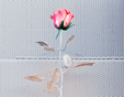 fleur 