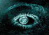 mon profil