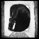 Flickr image