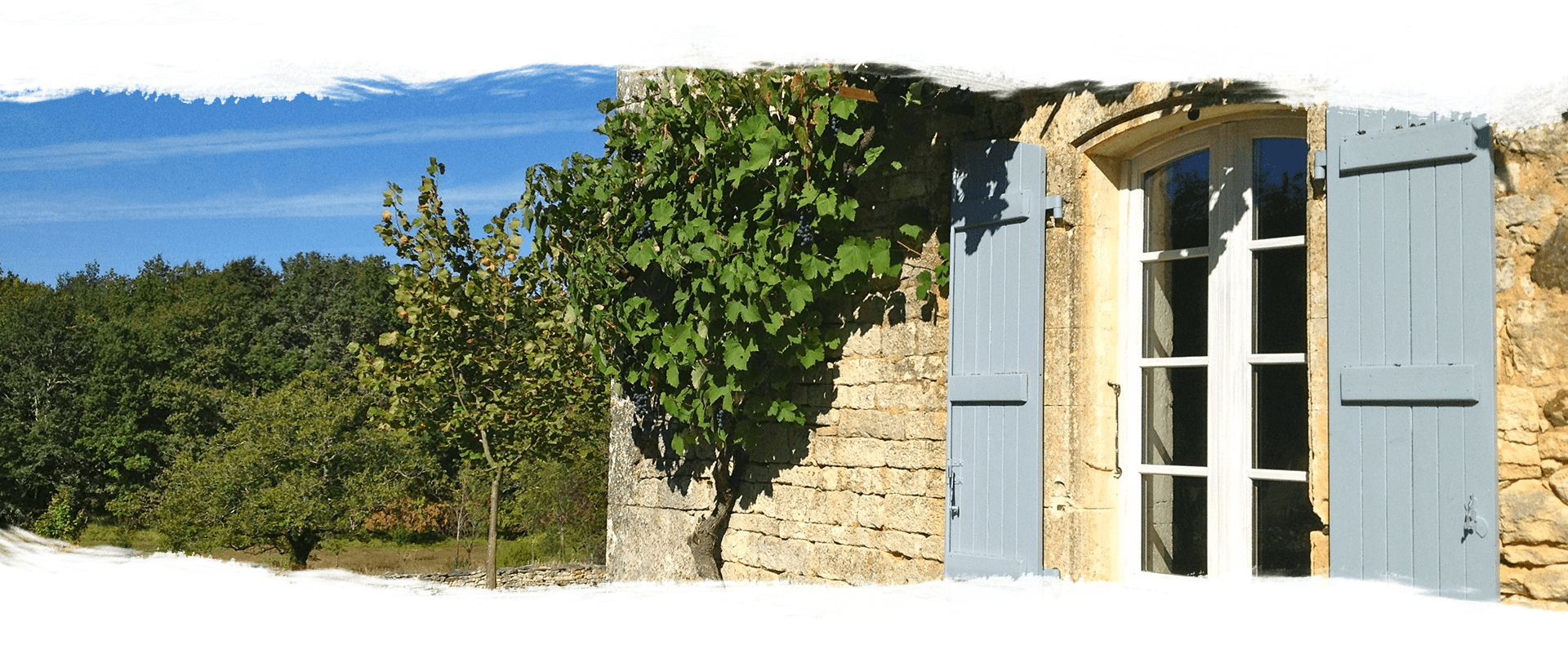 image manquante